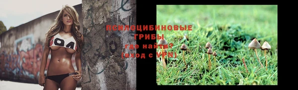 jwh Абаза