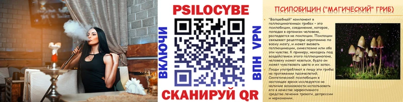 продажа наркотиков  мега tor  Галлюциногенные грибы мухоморы  Мосальск 